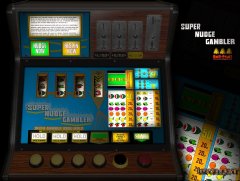 Super Nudge Gambler DX_1.jpg