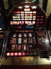 Simply Wild Casino (Dutch) (Errèl)