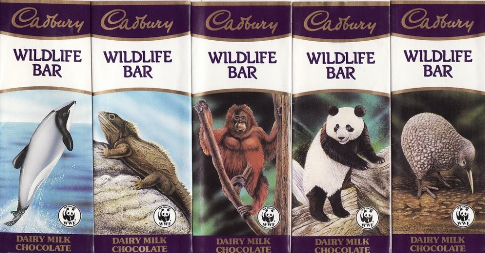 342997739_cadburywildlifebar.thumb.jpg.ffabdaac9d94d835b691a06389659dd9.jpg