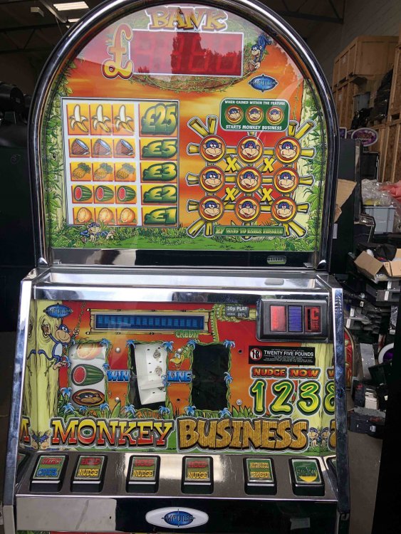 Monkey business2.jpg
