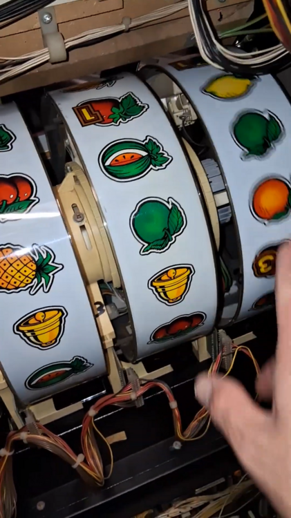 1392854820_clubtemptationfruitmachineproject2-34screenshot.thumb.png.86c3523617bc12ebb31f3be2d1f64277.png