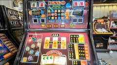 bingo fruit.jpg