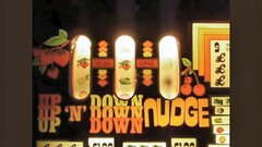 up n down nudger.jpg