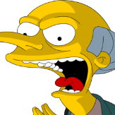 Mr Burns