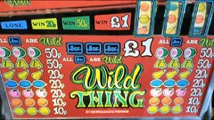 Wild Thing.jpg